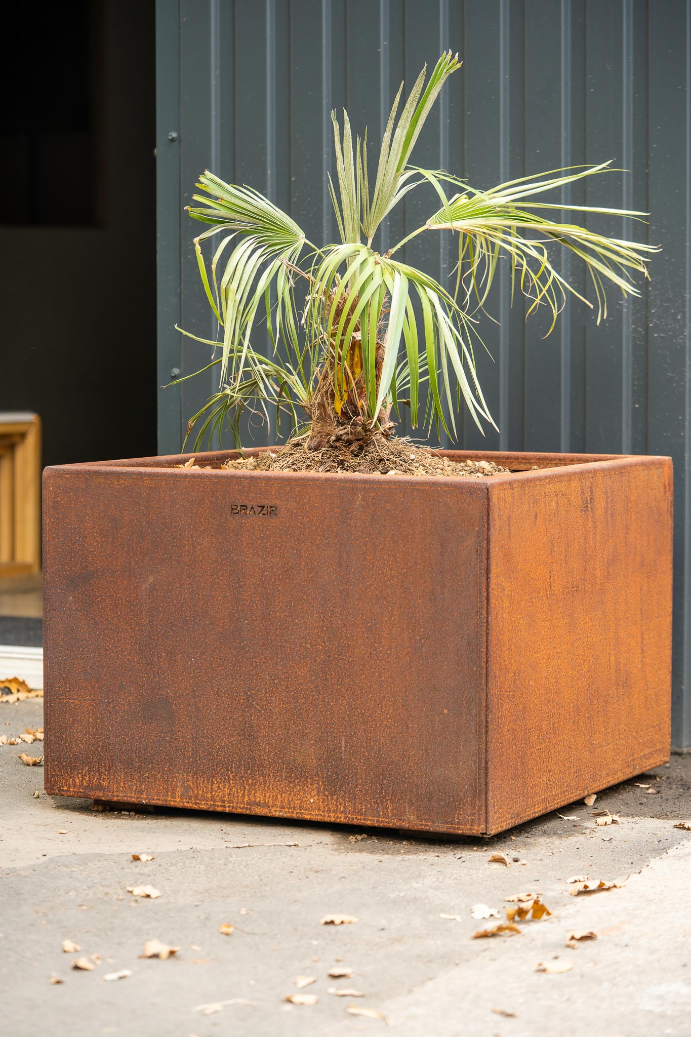 Jardinière Brazir L – Acier Corten Rouille