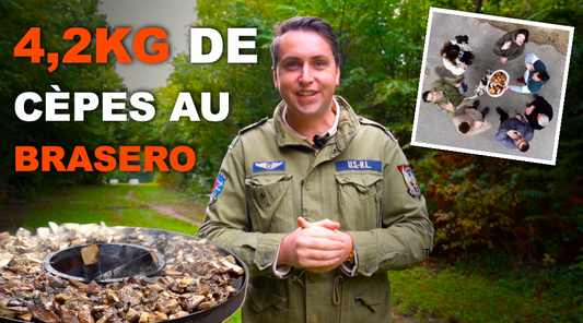 🍄 BRAZIR TV : 4,2 kg de cèpes cuisinés au brasero-plancha
