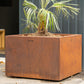 Jardinière Brazir L – Acier Corten Rouille