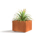 Jardinière Brazir L – Acier Corten Rouille