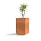 Jardinière Brazir S – Acier Corten Rouille